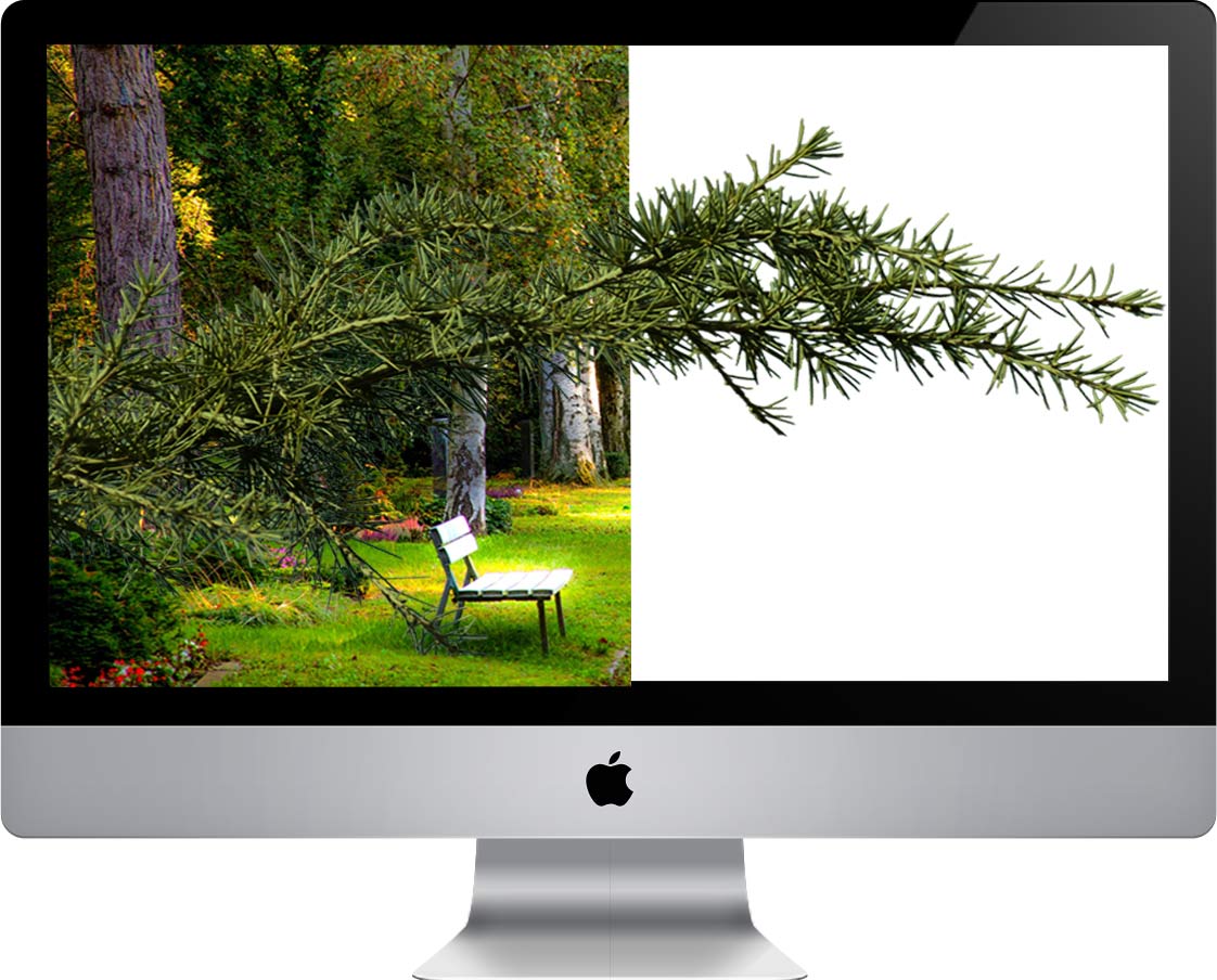 Image Background Removal Service Photo Retouching India